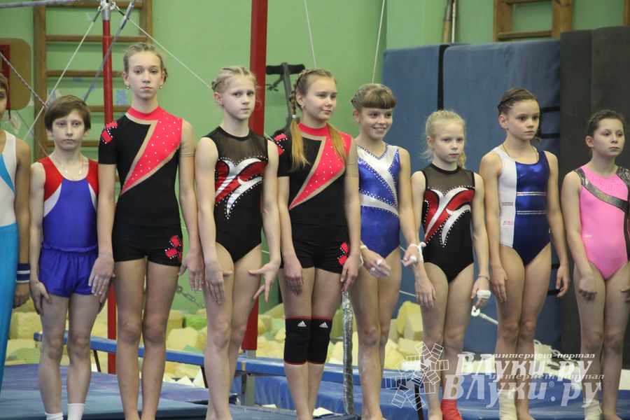 В Великих Луках состоялось Первенство города по спортивной гимнастике (фото)