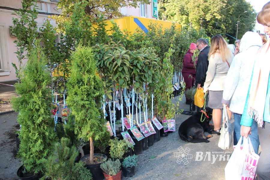 В Великих Луках прошла универсальная осенняя ярмарка (ФОТО)