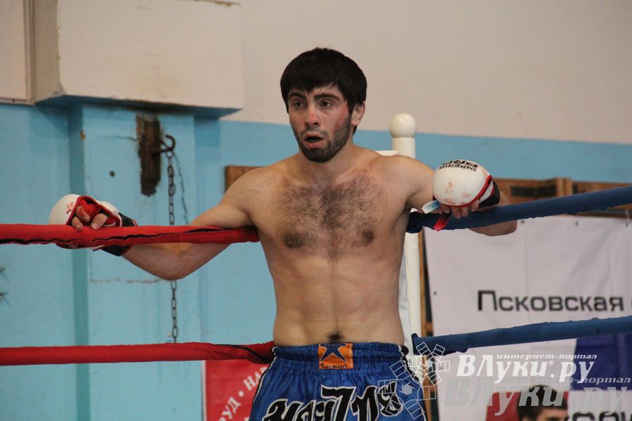 Открытый Кубок города Великие Луки по смешанному боевому единоборству (ММА)