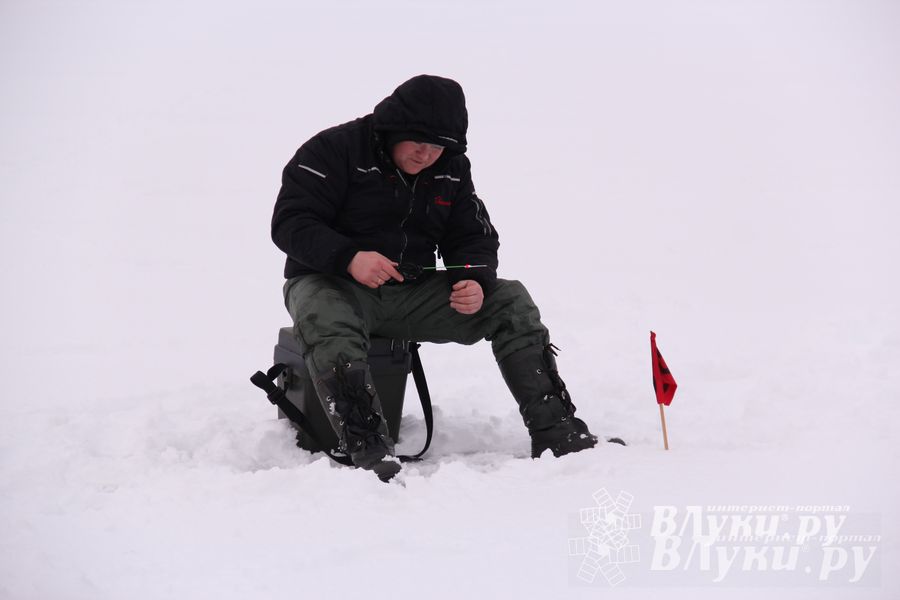 Подведены итоги Открытого чемпионата Великих Лук по рыболовному спорту (фото)