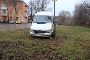 На улице Пушкина водитель врезался в дерево (ФОТО)