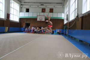 В Великих Луках прошло Первенство по художественной гимнастике (фото)