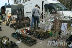 Весенняя ярмарка 2013 прошла в Великих Луках