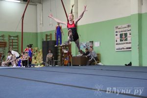 В Великих Луках прошел турнир по спортивной гимнастике (фото)