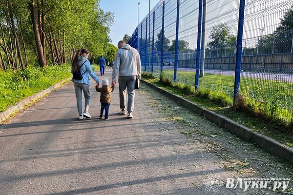 Жители Псковской области могут подать заявку на новую номинацию Всероссийского конкурса «Семья года»