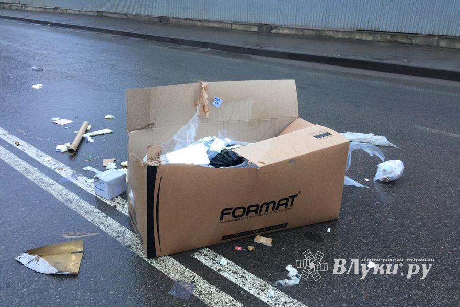 Неопознанный валяющийся объект «украсил» дорогу в Великих Луках.