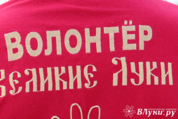 Жители Псковской области могут стать волонтерами Всероссийского голосования за объекты благоустройства