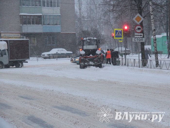 Великие Луки заносит снегом (фото)