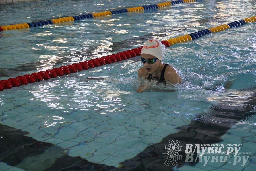 В Великих Луках прошли соревнования по плаванию «Весёлый дельфин»