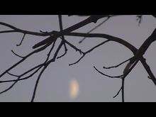 Импульс-ТВ: Убийство на ул.Дружбы, д.23