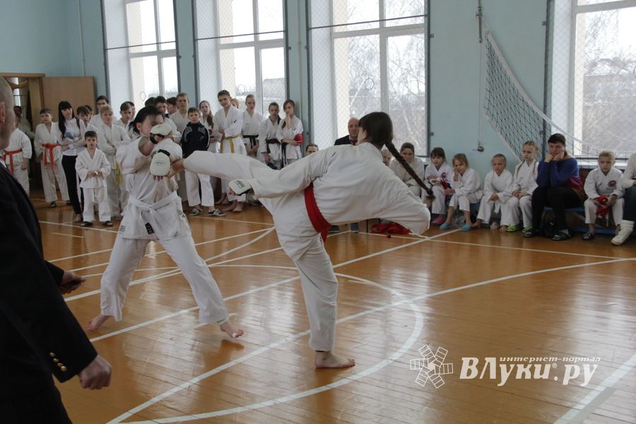 В Великих Луках прошел  турнир по Шотокан каратэ