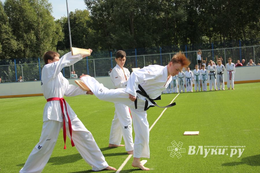 День спорта в День города: сила, мужество и грация (ФОТО)