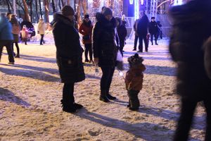 В Великих Луках зажглась новогодная ёлка (ФОТО)