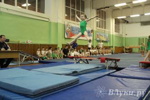 В Великих Луках состоялось Первенство по командной гимнастике (фото)