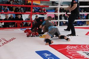 Открытый кубок по смешанному боевому единоборству ММА прошел в Великих Луках (ФОТО)