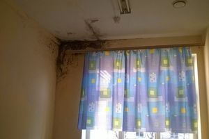 Великолучане жалуются на антисанитарию в Великолукской детской городской больнице (фото)