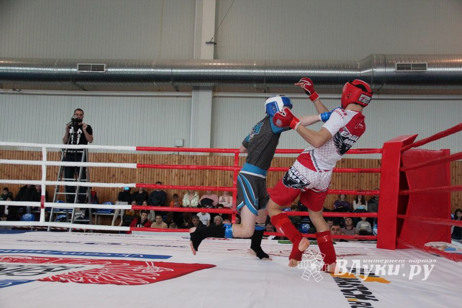 Открытый кубок по смешанному боевому единоборству ММА прошел в Великих Луках (ФОТО)