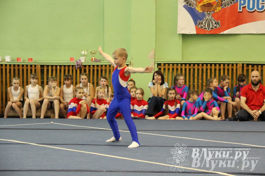 В Великих Луках состоялось Первенство по командной гимнастике (фото)