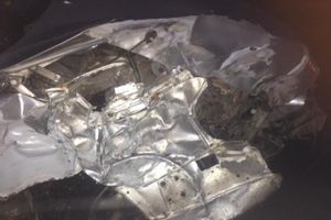 В Великих Луках неизвестный водитель врезался в дерево (ФОТО)