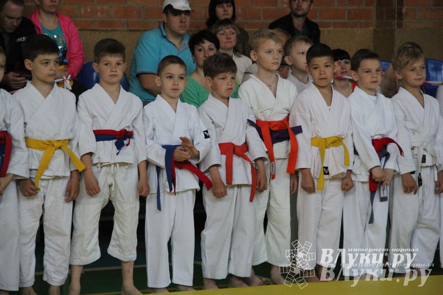 Великолучане стали победителями турнира по каратэ «Неприкосновенный запас, дети — Отчизны 2015» (фото)