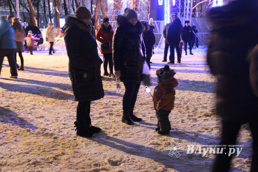 В Великих Луках зажглась новогодная ёлка (ФОТО)