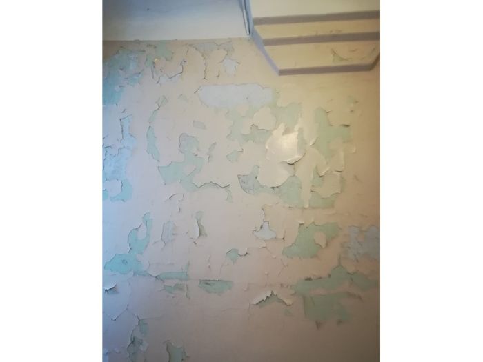 Жители Псковской области жалуются на неподобающее состояние больницы в Черехе