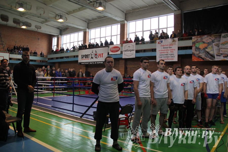 В Великих Луках прошел межрегиональный Открытый Кубок по смешанному боевому единоборству (фото)