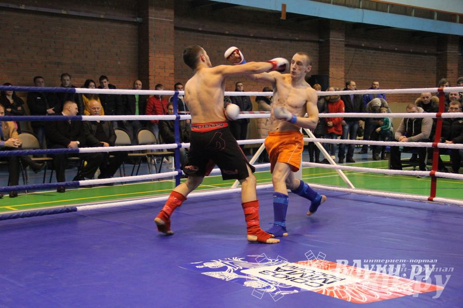 В Великих Луках прошел межрегиональный Открытый Кубок по смешанному боевому единоборству (фото)