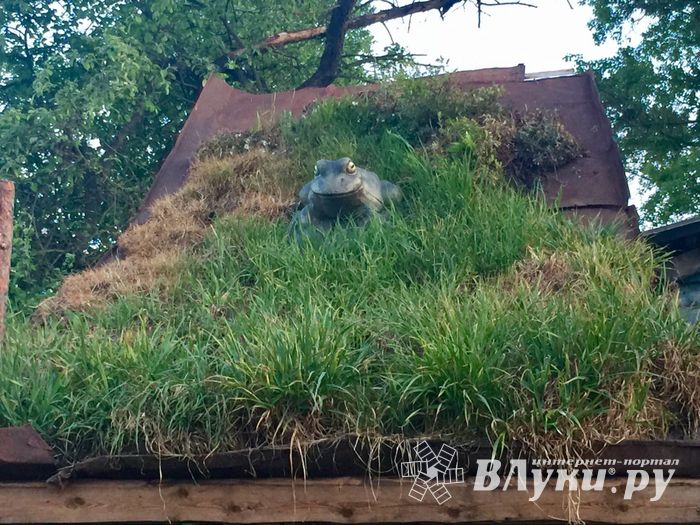 Фотофакт: сказочный дом в Великих Луках