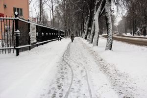 С первым снегопадом вас, коммунальщики Великих Лук!