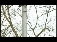 Импульс-ТВ. Совещание КЧС