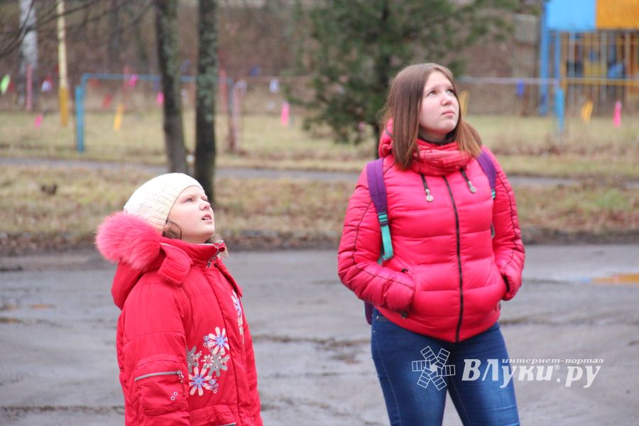 В Великих Луках в Парке культуры и отдыха полным ходом идёт подготовка к празднованию Масленицы (фото)