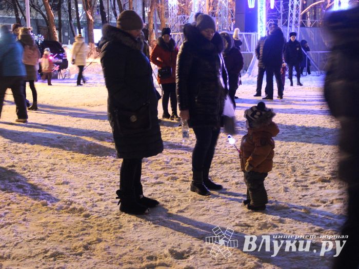 В Великих Луках зажглась новогодная ёлка (ФОТО)