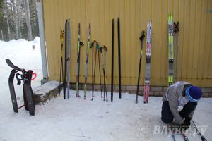 Всероссийская массовая лыжная гонка «Лыжня России 2015» состоялась в Великолукском районе (фото)