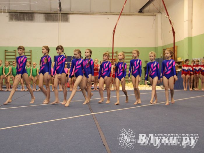 В Великих Луках состоялось Первенство по командной гимнастике (фото)