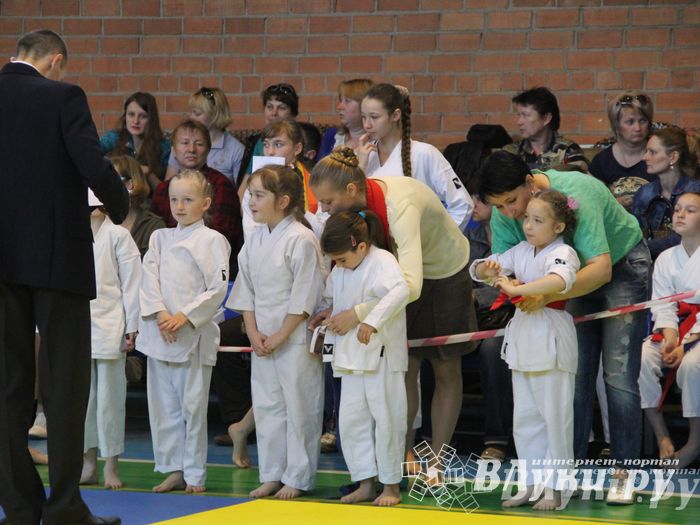 Великолучане стали победителями турнира по каратэ «Неприкосновенный запас, дети — Отчизны 2015» (фото)
