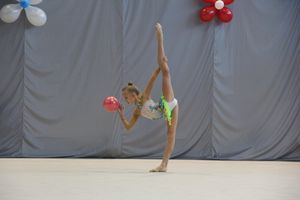 В Великих Луках прошли соревнования на Кубок Псковской области по художественной гимнастике (ФОТО)