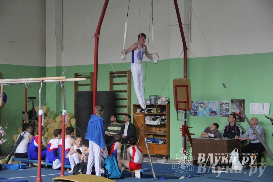 В Великих Луках прошел турнир по спортивной гимнастике (фото)