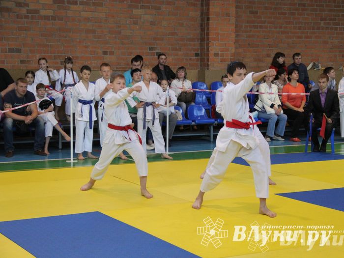 Великолучане стали победителями турнира по каратэ «Неприкосновенный запас, дети — Отчизны 2015» (фото)