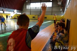 XII Традиционный Международный открытый турнир по мини-футболу среди юношей 2001-2002 г. р.