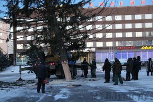 Новогодняя ель приехала в Великие Луки