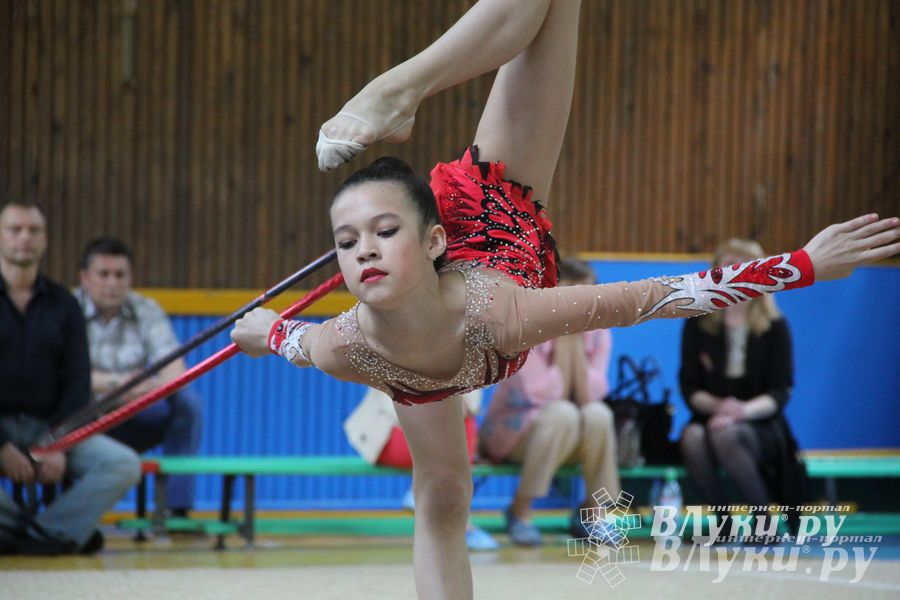 В Великих Луках прошло Первенство по художественной гимнастике (фото)