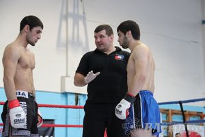 Открытый Кубок города Великие Луки по смешанному боевому единоборству (ММА)