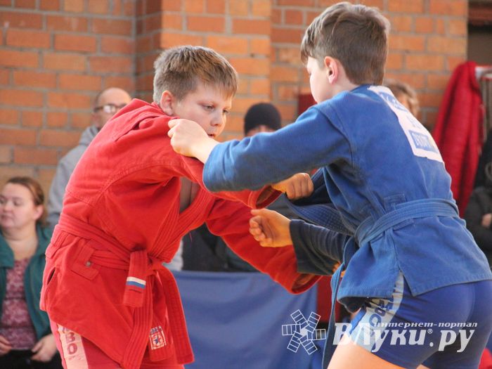Великолучане завоевали награды турнира по самбо «Память» (ФОТО)