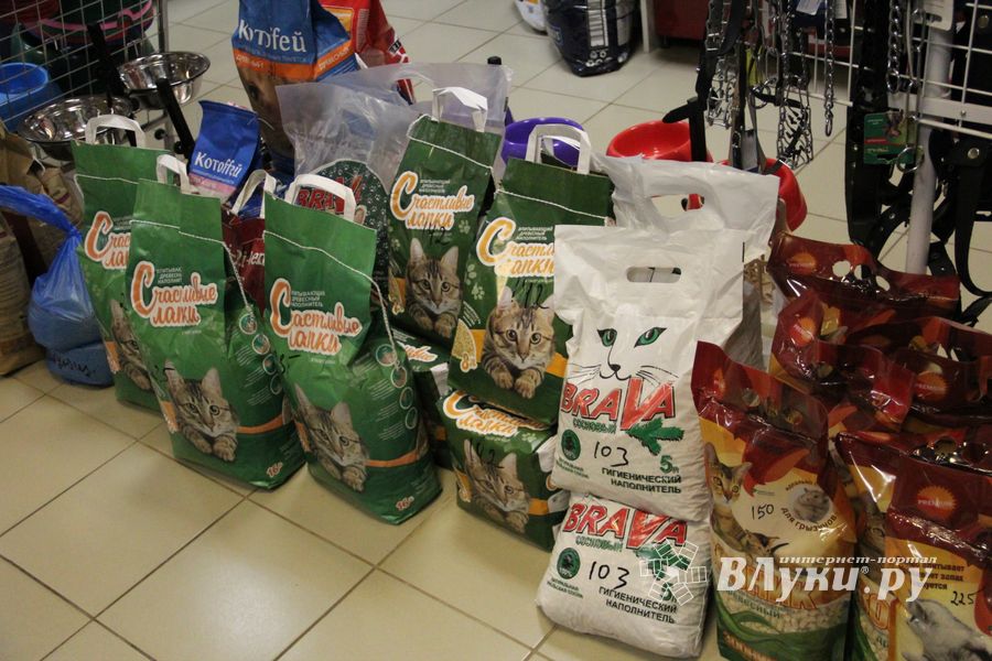 «Zooбастики»: подарите праздник своим любимцам! (ФОТО+ВИДЕО)