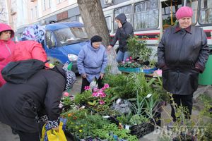 Универсальная торговая ярмарка «Весна-2015» прошла в Великих Луках (фото)