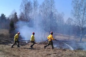 Тактику тушения торфяных пожаров отрабатывали лесники в Бежаницком районе (фото)