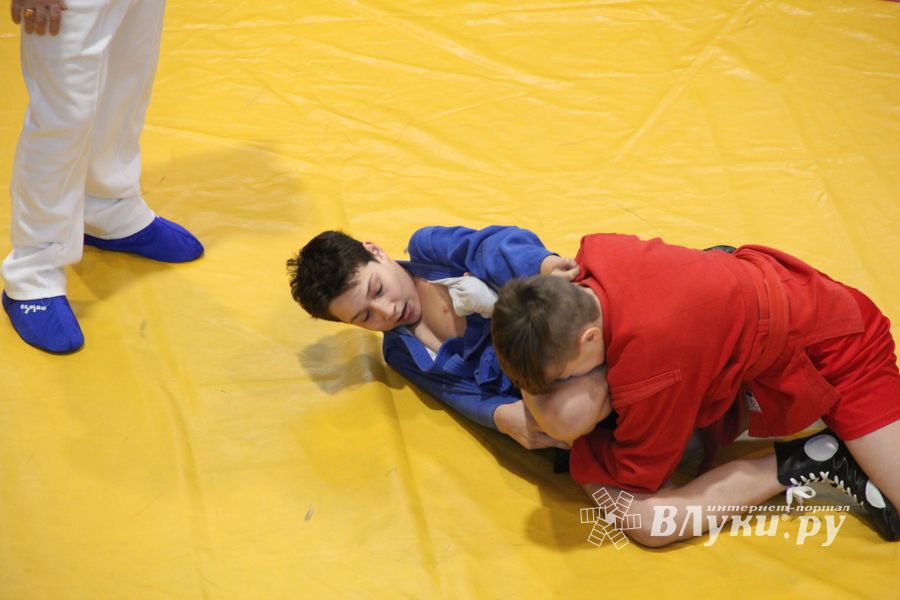 В Великих Луках проходит турнир самбистов (ФОТО)
