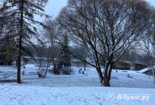 Прогноз погоды на 24 января в Великих Луках