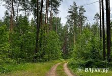 Умные камеры помогают предотвращать пожары в Псковской области